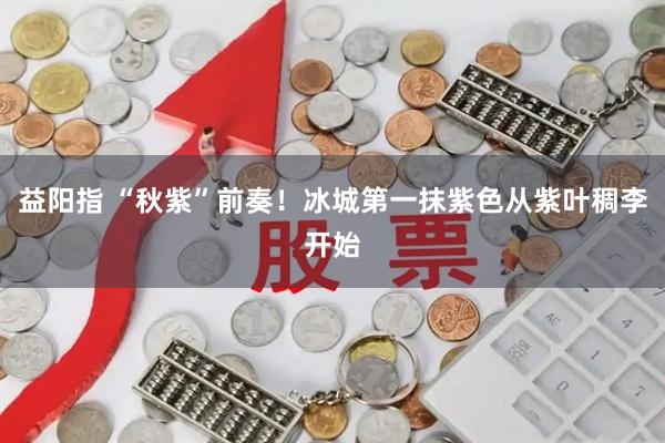 益阳指 “秋紫”前奏！冰城第一抹紫色从紫叶稠李开始