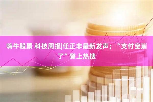 嗨牛股票 科技周报|任正非最新发声；“支付宝崩了”登上热搜