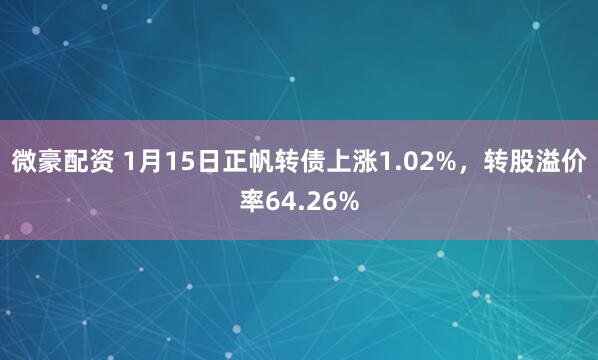 微豪配资 1月15日正帆转债上涨1.02%，转股溢价率64.26%