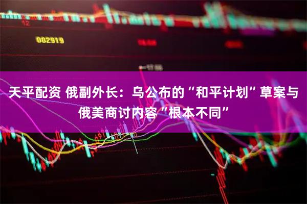天平配资 俄副外长：乌公布的“和平计划”草案与俄美商讨内容“根本不同”
