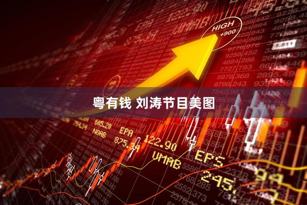 粤有钱 刘涛节目美图